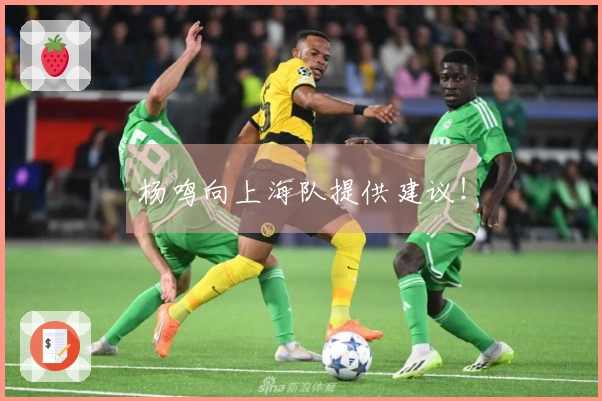 杨鸣向上海队提供建议！